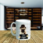 Mugshot Pug